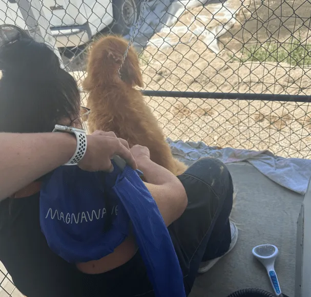 Dog receiving Magnawave PEMF therapy at the kennel